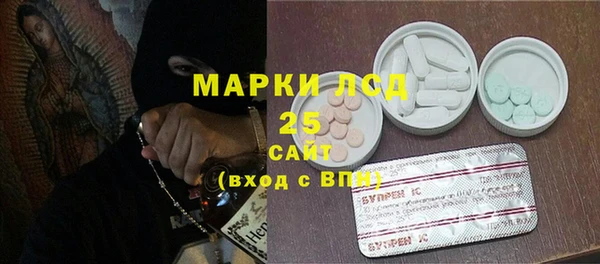 прущие грибы Балахна